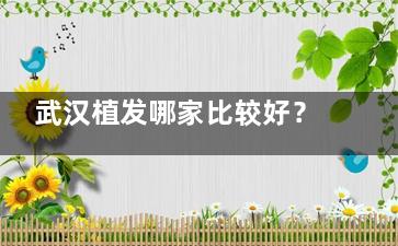 武汉植发哪家比较好？盘点武汉大麦微针、碧莲盛、新生植发的特色项目与优势