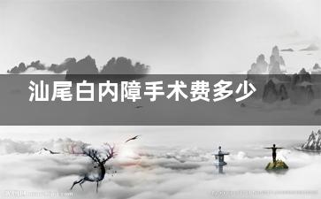 汕尾白内障手术费多少钱？价格表及2025免费治疗政策解析，含申请方式、申请流程、申请人群~