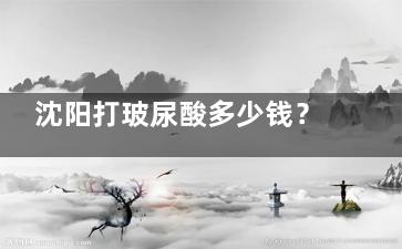沈阳打玻尿酸多少钱？各大医院价格大揭秘，让你轻松变漂亮不花冤枉钱！