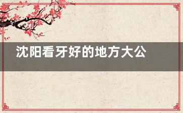 沈阳看牙好的地方大公开!老铁推荐这几家医牙科医院,技术口碑服务都老棒了!
