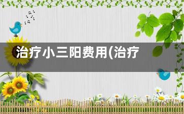 治疗小三阳费用(治疗小三阳费用大概多少)