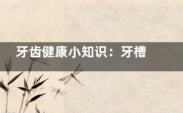 牙齿健康小知识：牙槽中隔和牙根间隔的区别，了解这两者对于保护你的牙齿至关重要！