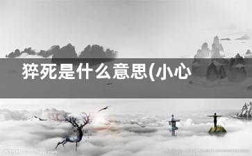 猝死是什么意思(小心猝死是什么意思)
