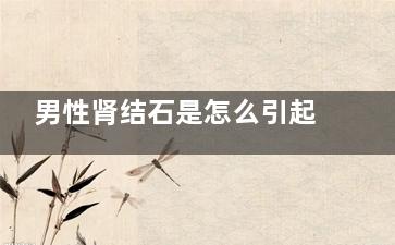 男性肾结石是怎么引起的(男性肾结石是怎样产生的是怎么引起的)