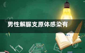 男性解脲支原体感染有什么症状(男性解脲支原体阳性是什么意思)