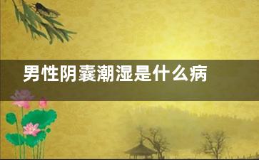 男性阴囊潮湿是什么病(阴囊潮湿是什么意思)