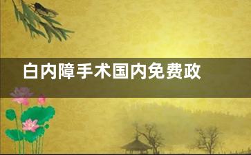 白内障手术国内免费政策2024：政策内容与对象、申请流程及注意事项全分析