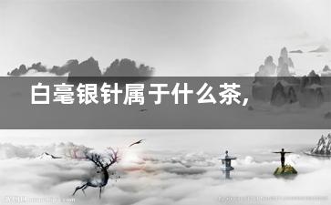 白毫银针属于什么茶,白毫银针属于什么茶怎样泡