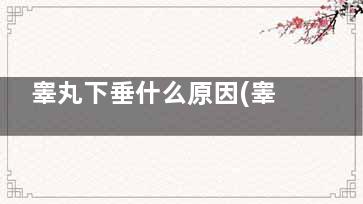 睾丸下垂什么原因(睾丸下垂是怎么了)