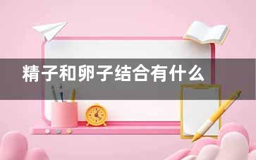 精子和卵子结合有什么表现