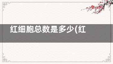 红细胞总数是多少(红细胞总数多体积小)