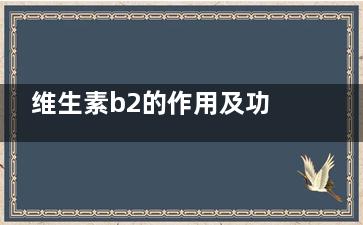 维生素b2的作用及功能(维生素b2的作用及功能吃几粒)