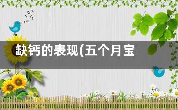 缺钙的表现(五个月宝宝缺钙的表现)