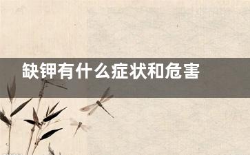 缺钾有什么症状和危害(***中缺钾有什么症状)
