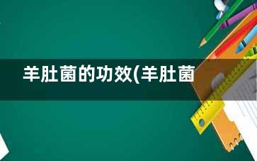 羊肚菌的功效(羊肚菌的功效与作用及营养价值)