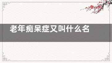 老年痴呆症又叫什么名字(老年痴呆症又叫什么症状)