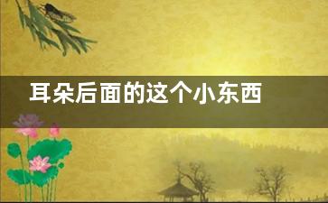 耳朵后面的这个小东西如何去除呢？