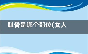 耻骨是哪个部位(女人怀孕耻骨是哪个部位)