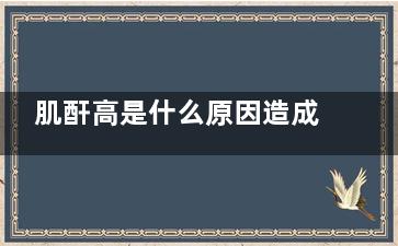 肌酐高是什么原因造成的(肌酐高是什么原因怎么治疗)