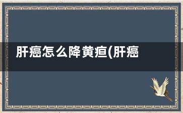 肝癌怎么降黄疸(肝癌降黄疸偏方)