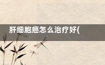 肝细胞癌怎么治疗好(肝细胞癌肝癌能不能***)