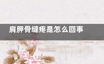 肩胛骨缝疼是怎么回事(肩胛骨缝疼是怎么缓解)