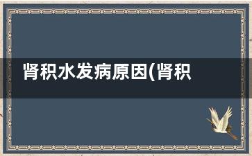 肾积水发病原因(肾积水引起什么病)