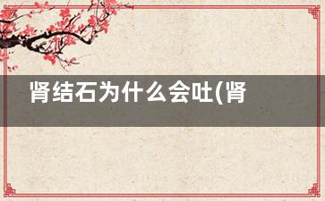 肾结石为什么会吐(肾结石为什么会掉到输尿管)