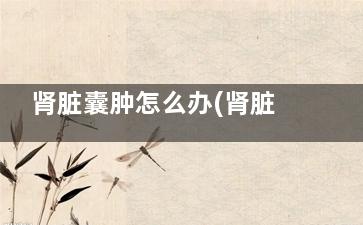 肾脏囊肿怎么办(肾脏上有囊肿该怎么办)