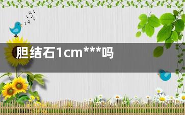 胆结石1cm***吗(胆管结石1cm***吗)