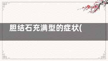 胆结石充满型的症状(胆结石充满型的能有胆汁吗)