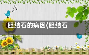胆结石的病因(胆结石的病因包括哪些)