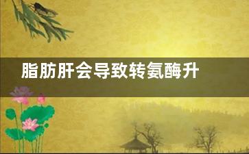 脂肪肝会导致转氨酶升高吗(脂肪肝会导致转氨酶100多吗)