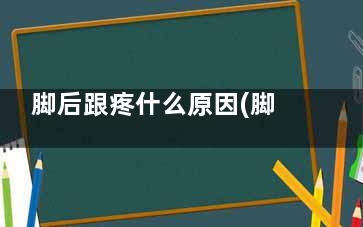 脚后跟疼什么原因(脚后跟疼什么原因男)