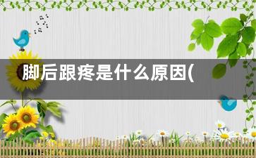 脚后跟疼是什么原因(脚后跟疼是什么原因引起的***解答)