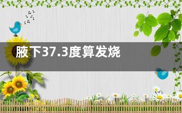 腋下37.3度算发烧吗(腋下37.3度算发烧吗大人)