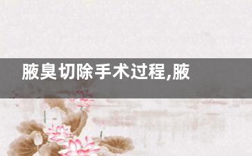 腋臭切除手术过程,腋臭切除手术过程图