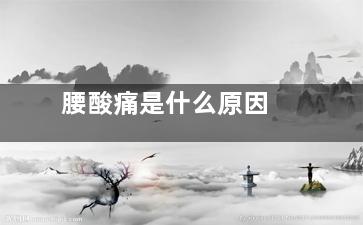 腰酸痛是什么原因