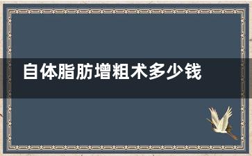 自体脂肪增粗术多少钱？成都亨特整形万元档价格性价比分析！