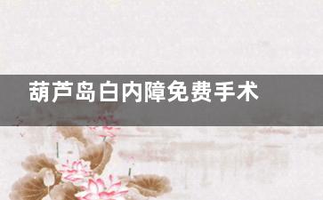 葫芦岛白内障免费手术政策查询，2025年这些情况或可申请免费手术！