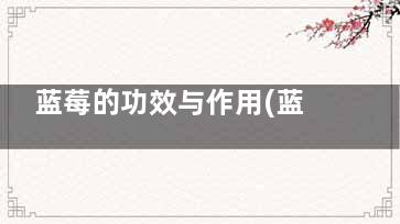蓝莓的功效与作用(蓝莓的功效与作用是清热还是上火)