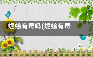 蟾蜍有毒吗(蟾蜍有毒吗)
