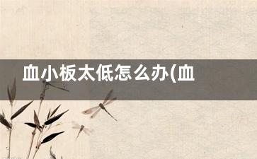 血小板太低怎么办(血小板为什么会降低)