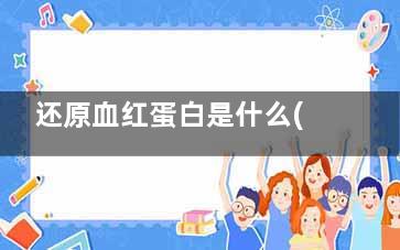 还原血红蛋白是什么(还原血红蛋白是什么颜色)