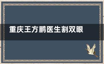 重庆王方鹏医生割双眼皮很棒!自然真实还美腻!收费合理预约挂号也很方便