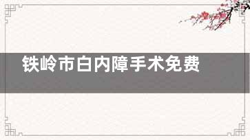 铁岭市白内障手术免费政策文件查询后分享：2025年免费手术可申请人群+手术流程解答!
