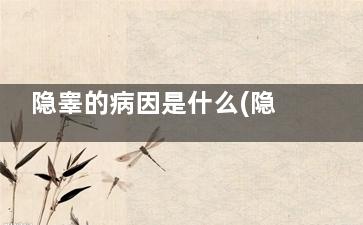 隐睾的病因是什么(隐睾由什么引起)