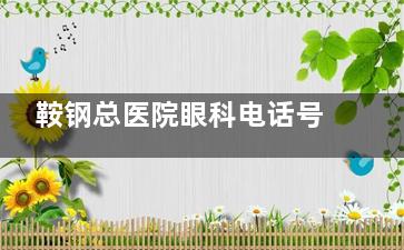 鞍钢总医院眼科电话号码查询，预约热线电话/网上预约挂号/现场预约流程分享！