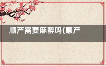 顺产需要麻醉吗(顺产需要打麻醉吗)