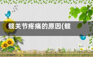 髋关节疼痛的原因(髋关节疼痛)
